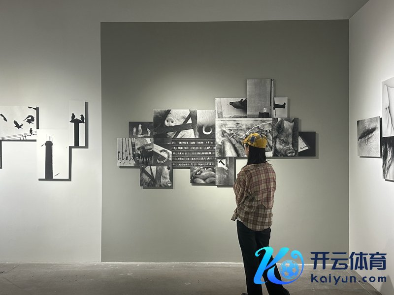 本届共展出25场展览 主理方供图