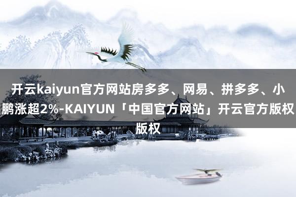 开云kaiyun官方网站房多多、网易、拼多多、小鹏涨超2%-KAIYUN「中国官方网站」开云官方版权