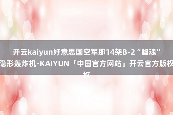 开云kaiyun好意思国空军那14架B-2“幽魂”隐形轰炸机-KAIYUN「中国官方网站」开云官方版权